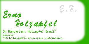 erno holzapfel business card
